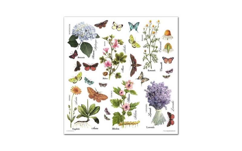 Plakboekpapier 30x30 Herbarium Itd Collection