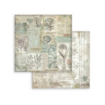 Plakboekpapier-30×30-Herbarium-Silvae-Achtergrond-Stamperia-Scrapboeken.nl-2-1.jpg