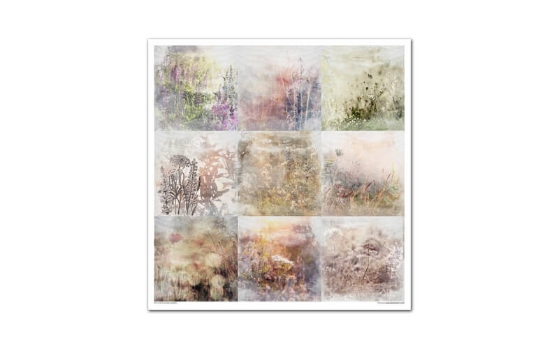 Plakboekpapier 30x30 Summer Meadow Itd Collection
