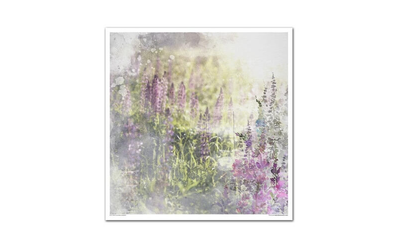 Plakboekpapier 30x30 Summer Meadow Itd Collection