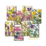 Plakboekpapier-Lente-Weide-Decorer-Scrapboeken.nl-1-1.jpg