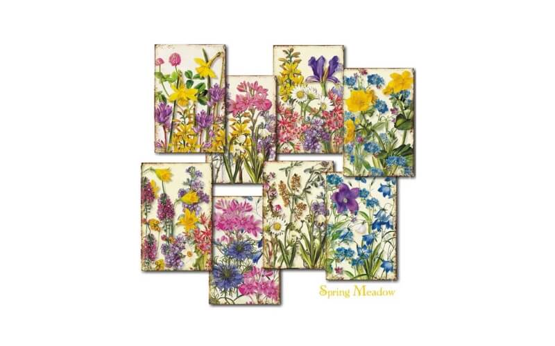 Plakboekpapier Mini Lente Weide Decorer