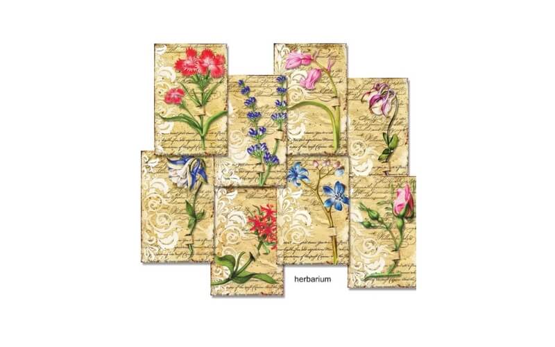 Plakboekpapier Mini Herbarium Decorer