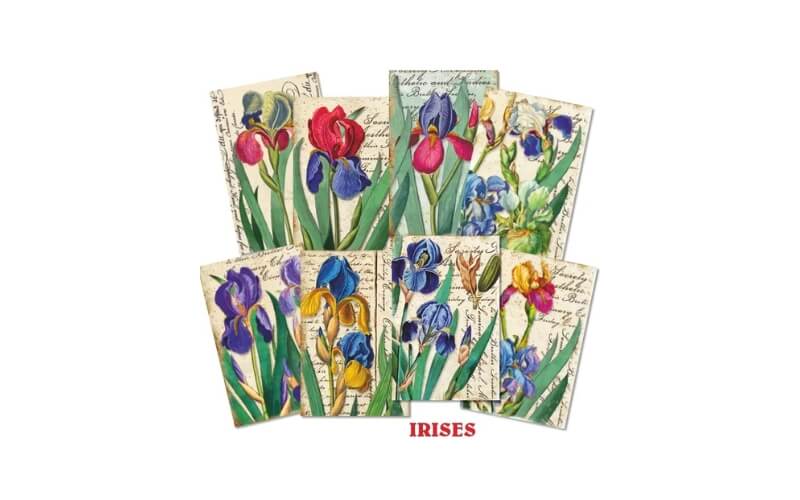 Plakboekpapier Mini Irises Decorer