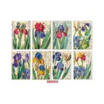 Plakboekpapier-Mini-Irises-Decorer-Scrapboeken.nl-2-1.jpg