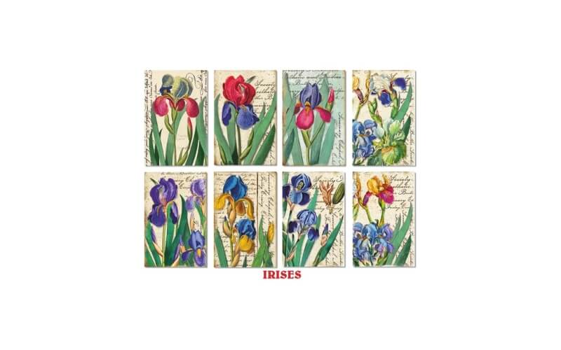 Plakboekpapier Mini Irises Decorer