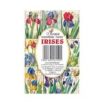 Plakboekpapier-Mini-Irises-Decorer-Scrapboeken.nl-3.jpg