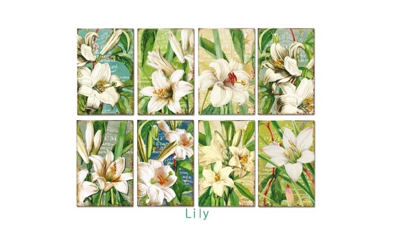 Plakboekpapier Mini Lelie Decorer