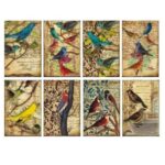 Plakboekpapier-Mini-Vogels-Decorer-Scrapboeken.nl-1-1.jpg