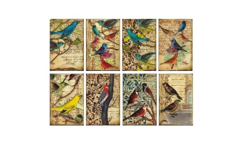 Plakboekpapier Mini Vogels Decorer