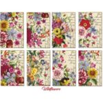 Plakboekpapier-Mini-Wilde-Bloemen-Decorer-Scrapboeken.nl-1-1.jpg