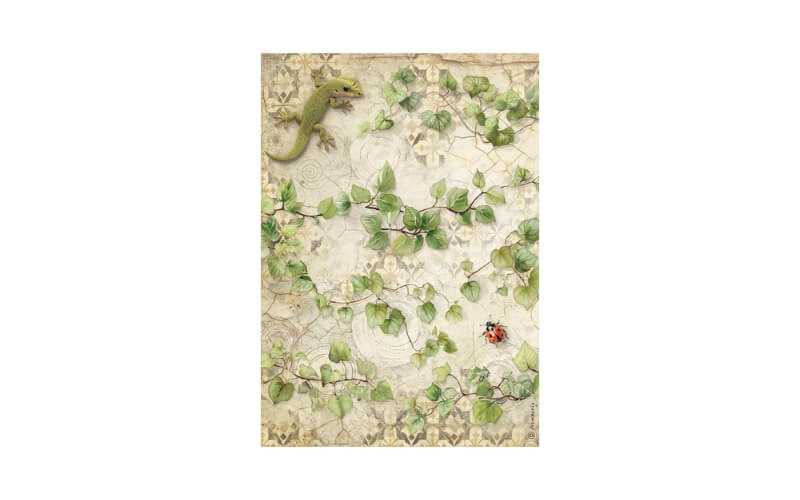 Rijstpapier A4 All Around Ivy Stamperia