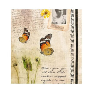Rijstpapier A4 Vlinder Collectie Studio Light