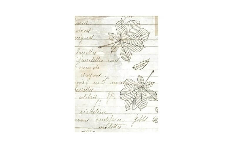 Rijstpapier A6 Herbarium Silvae Achtergrond Stamperia