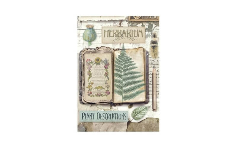Rijstpapier Herbarium Silvae Mini A6 Stamperia