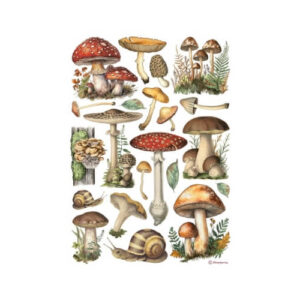 Rijstpapier Paddenstoelen Stamperia A4