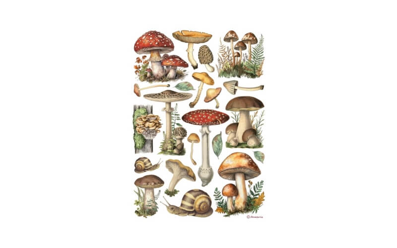 Rijstpapier Paddenstoelen Stamperia A4