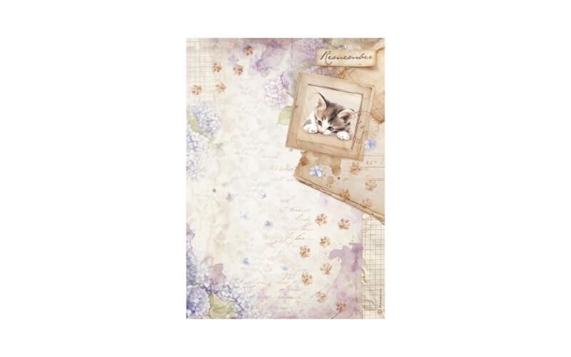 Rijstpapier Quiet Days Kitten A4 Stamperia