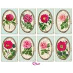Roos-Mini-Plakboekpapier-Scrapboeken-1-1.jpg