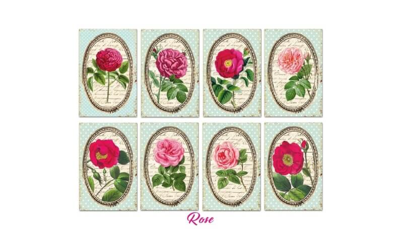 Plakboekpapier Mini Roos Decorer