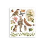 Rub-On-205x23cm-Assortment-All-Around-Stamperia-Scrapboeken.nl-1-1.jpg