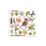 Rub-on-Set-All-Around-Stamperia-Scrapboeken.nl-1-1.jpg
