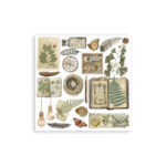 Rub-on-Set-Herbarium-Silvae-Stamperia-Scrapboeken.nl-1-1.jpg