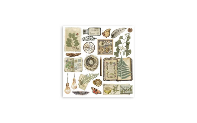 Rub-on Set Herbarium Silvae Stamperia