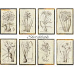 Schetsen-Mini-Plakboekpapier-Scrapboeken-1-1.jpg
