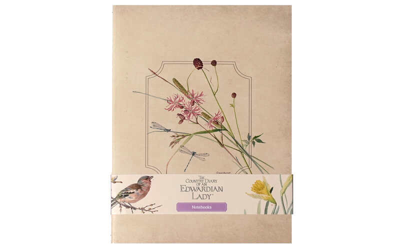 Notitieboekjes Edwardian Lady 3 Stuks