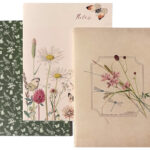 Scrapboek-Edwardian-Lady-Notebooks-142x210mm-set-3stuks-02.jpg