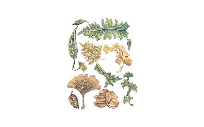 Siliconen Mal A5 Herbarium Silvae Leaf Collection Stamperia