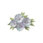 Snijmatrijzen-A6-Camelias-bloom-Stamperia-Scrapboeken.nl-1-1.jpg