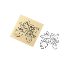 Stempel Aardbeien 5x5cm