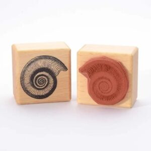 Stempel Ammonite