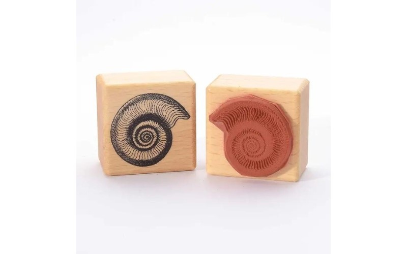 Stempel Ammonite