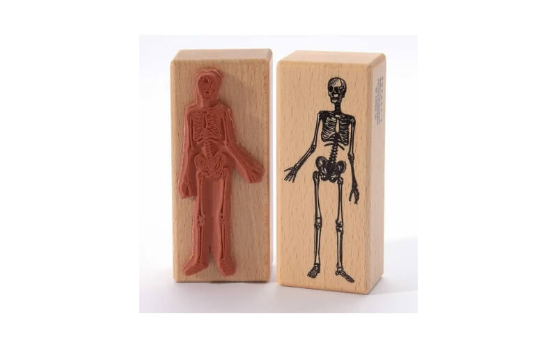 Stempel Menselijk Skelet