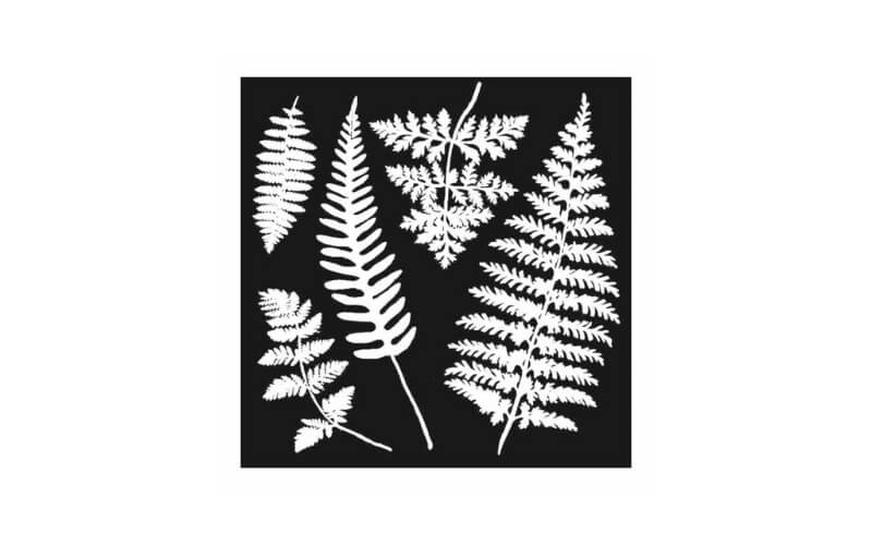 Stencil 18x18 Varenblad Stamperia