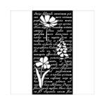 Stencil-Herbarium-Silvae-Brief-Bloemen-12×25-Stamperia-Scrapboeken.nl-2.jpg
