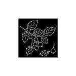 Stencil-Whispering-Woods-Besjes-Stamperia-12×12-Scrapboeken-1-1.jpg