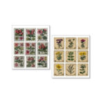 Stickerset-Faraway-Mail-Ciao-Bella-Scrapboeken.nl-1-1.jpg