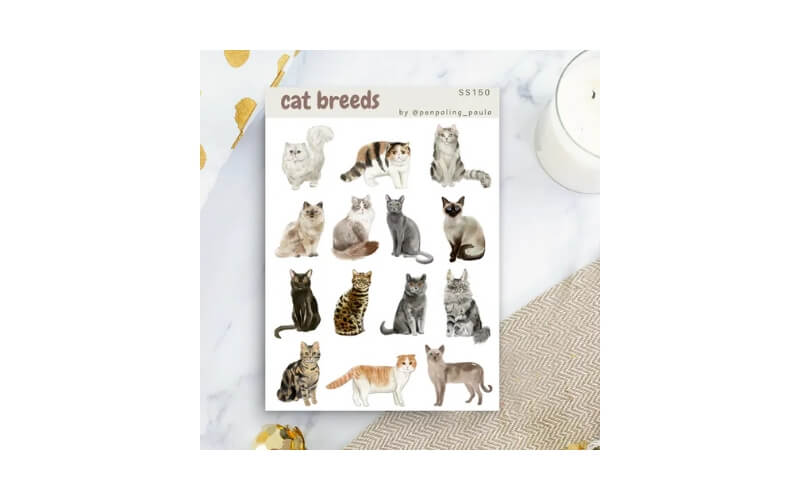 Stickervel Kattenrassen A6 Penpaling_Paula