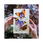 Sunrise-set-van-papieren-vlinders-Moth-and-Myth-Scrapboeken.nl-3-1.jpg