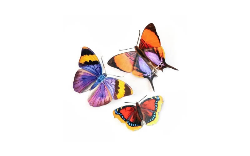 'Sunrise' set van papieren vlinders Moth and Myth