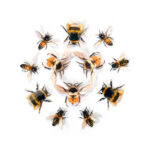The-Bees-Knees-collectie-Moth-and-Myth-Scrapboeken.nl-4.jpg