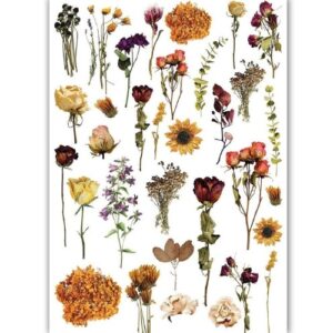 Transfer-me Gedroogde Bloemen