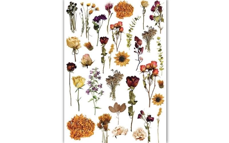 Transfer-me Gedroogde Bloemen