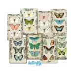 Vlinders-Mini-Plakboekpapier-Scrapboeken-2.jpg