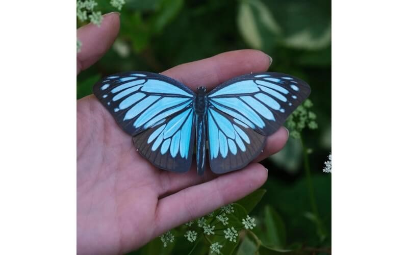 Vlinderset 'Lupine' Moth and Myth