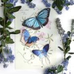 Vlinderset-Lupine-Scrapboeken.nl_.jpg